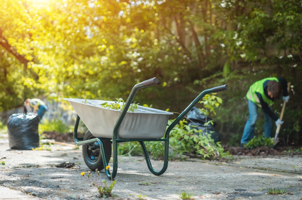 garden wheelbarrow with leaves or cleaning city park in spring at sunny day